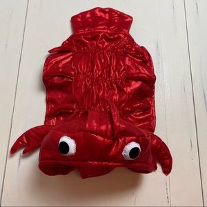 Medium/large breed lobster dog costume